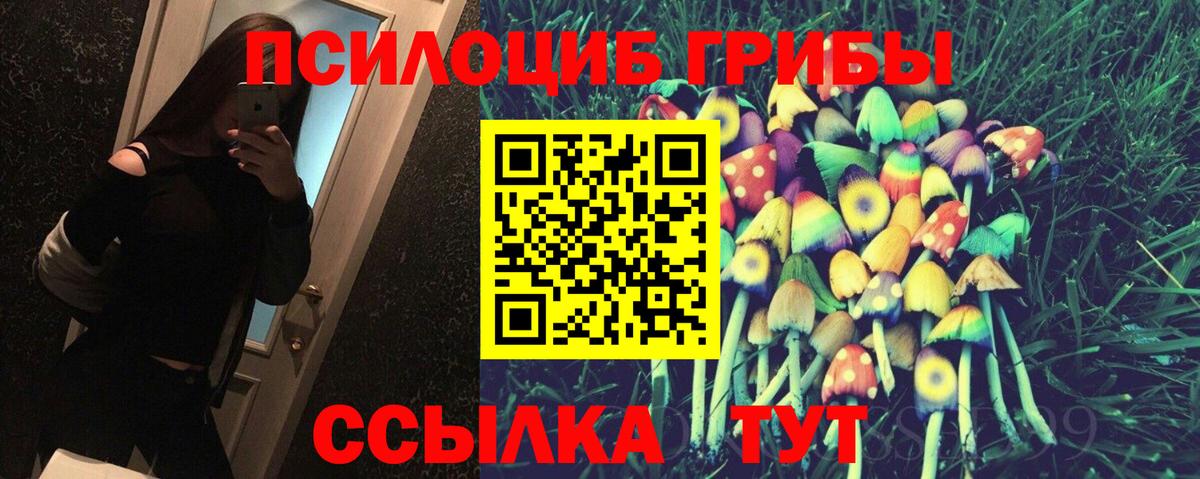 Луховицы  Псилоцибиновые грибы Psilocybe  Вход с VPN 